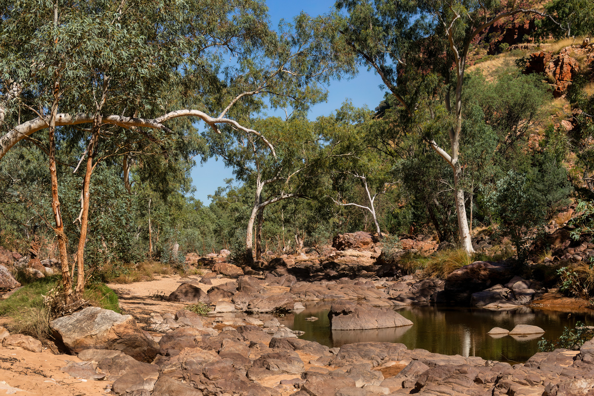 Redbank Gorge (Mount Zeil)